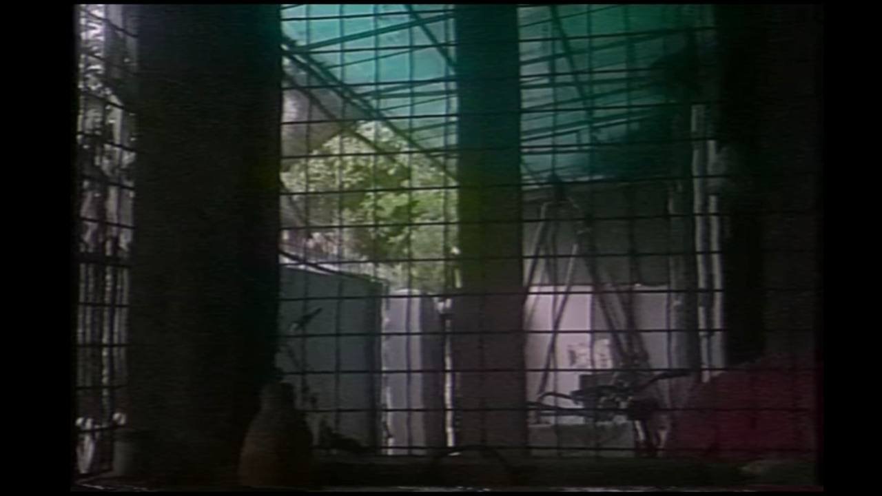 La Neige Movie Screenshot 2