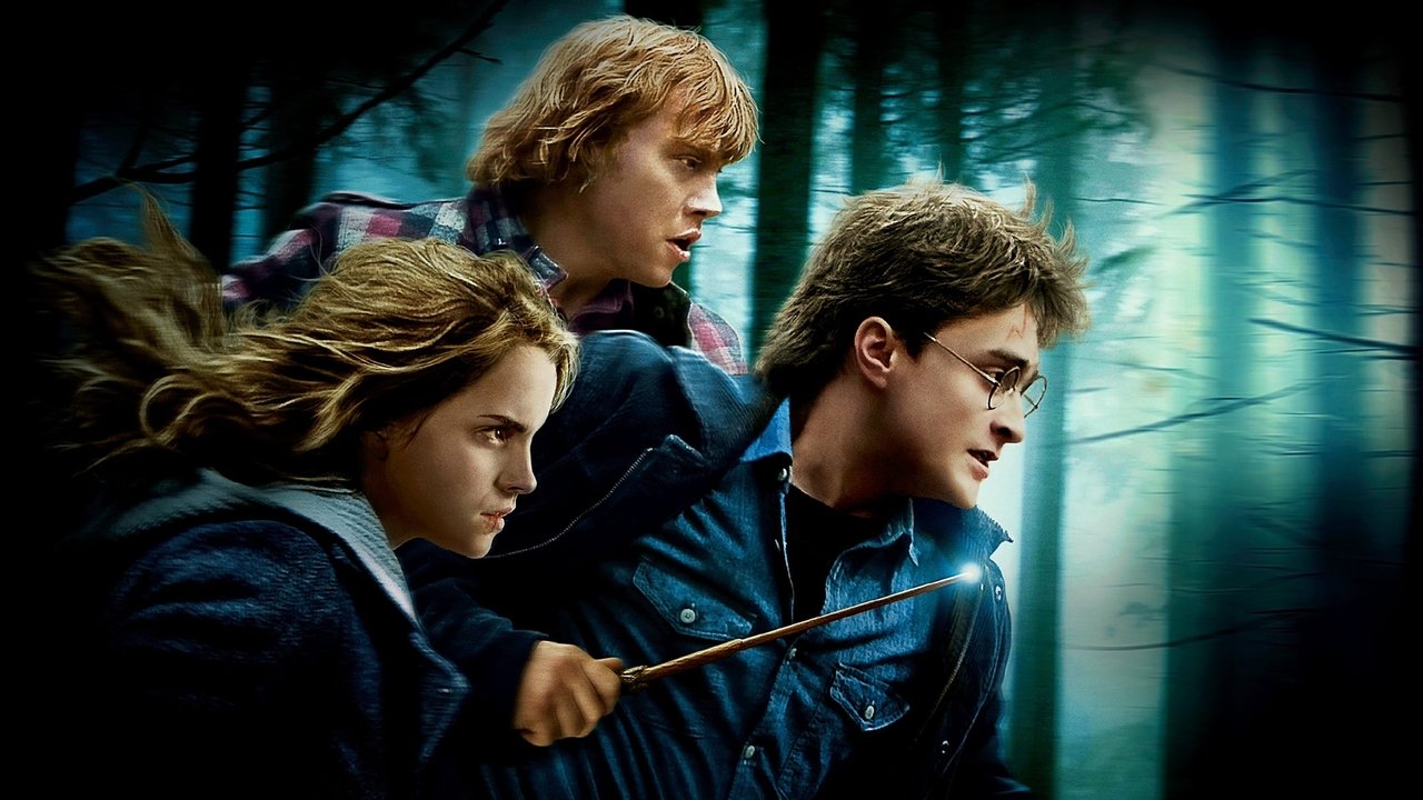 Harry Potter and the Deathly Hallows: Part 1 Movie Screenshot 2