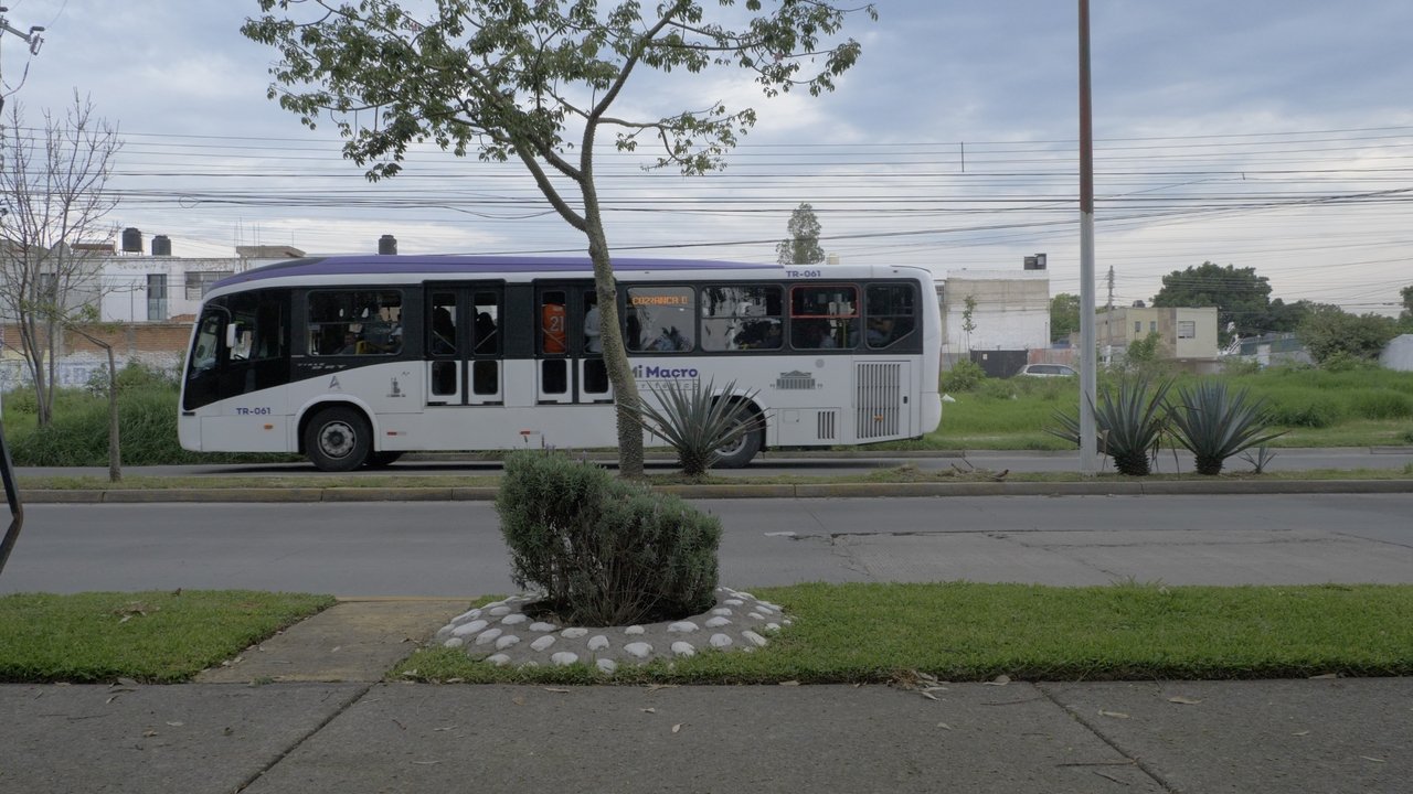 significantes, cinco de cinco Movie Screenshot 1