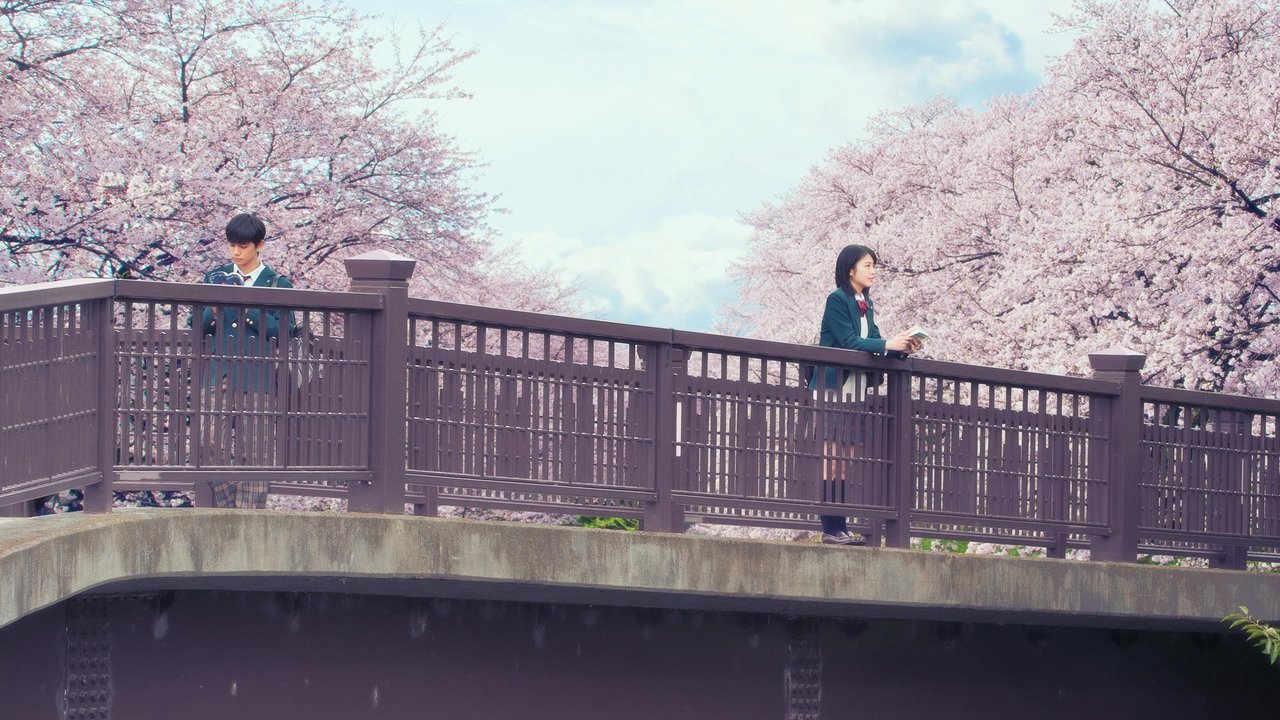 Let Me Eat Your Pancreas Movie Screenshot 1