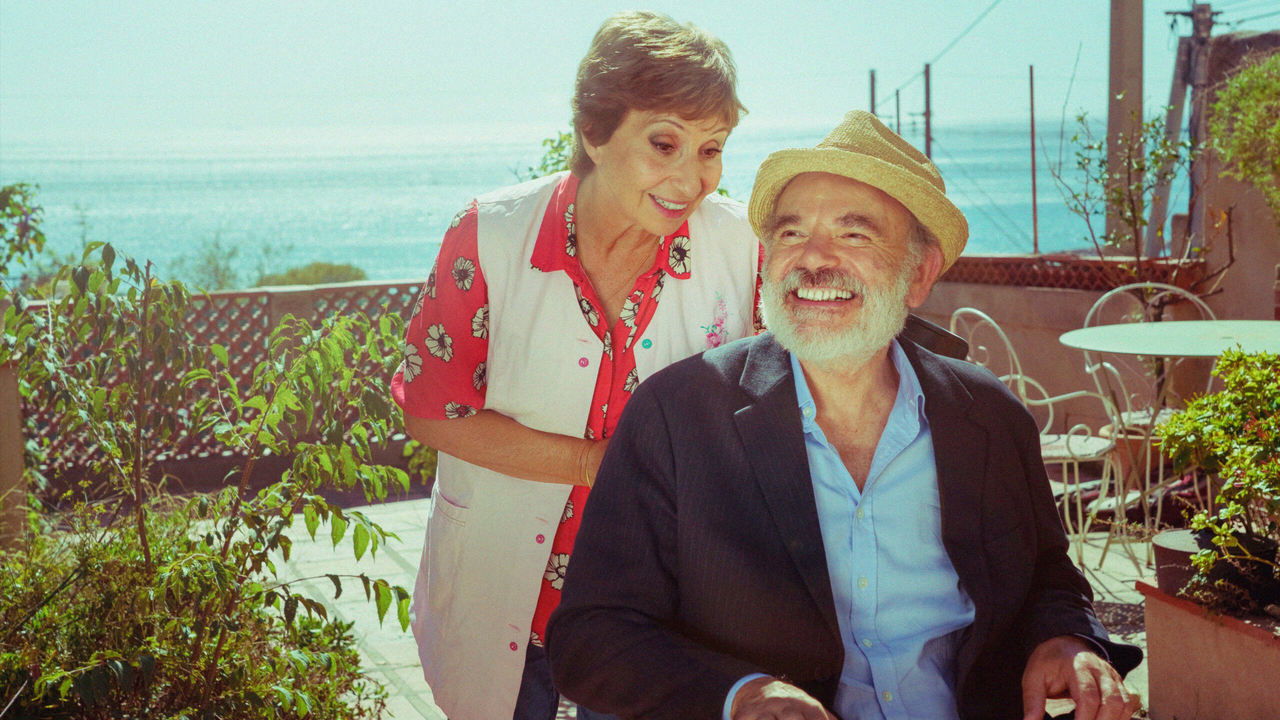 The Thieving Magpie Movie Screenshot 1