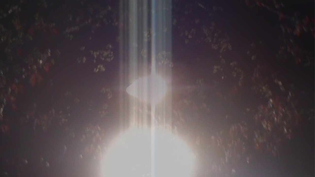 light blossom Movie Screenshot 2