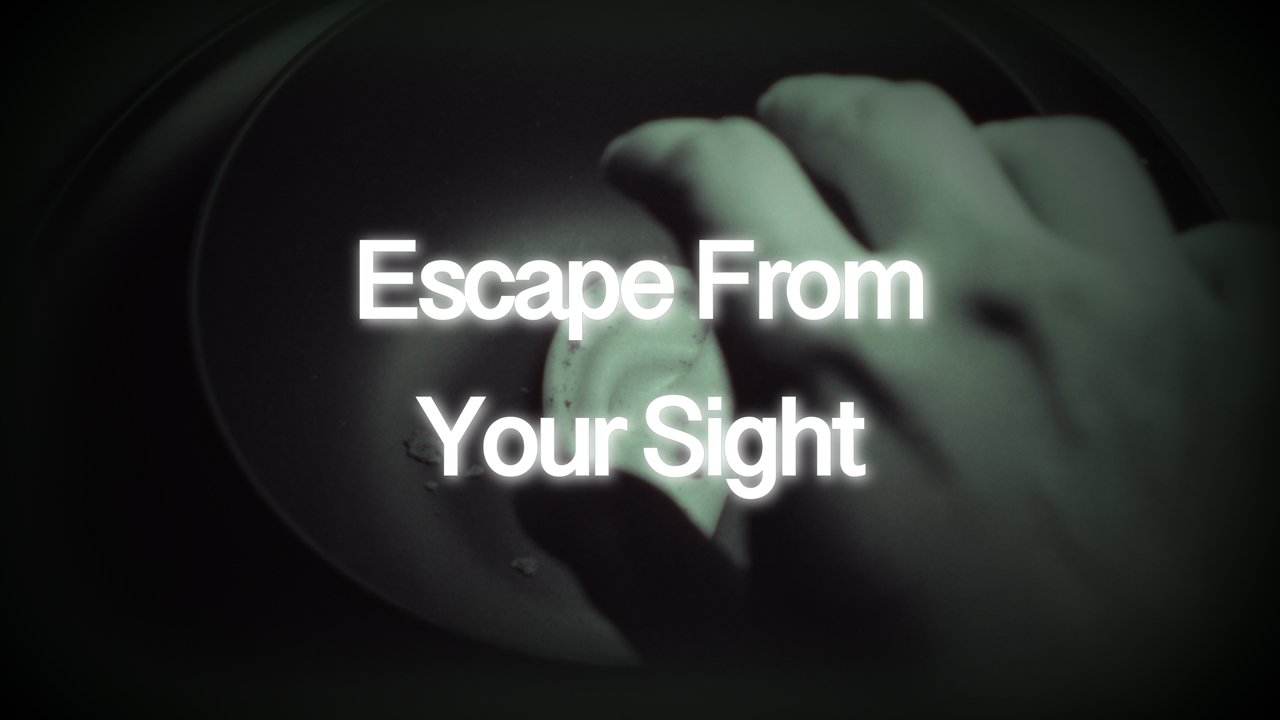 Escape From Your Sight Movie Screenshot 1