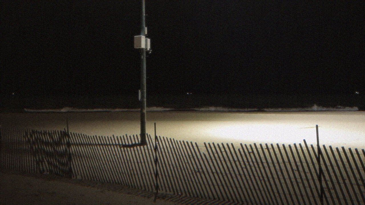 Despite Everything Movie Screenshot 1