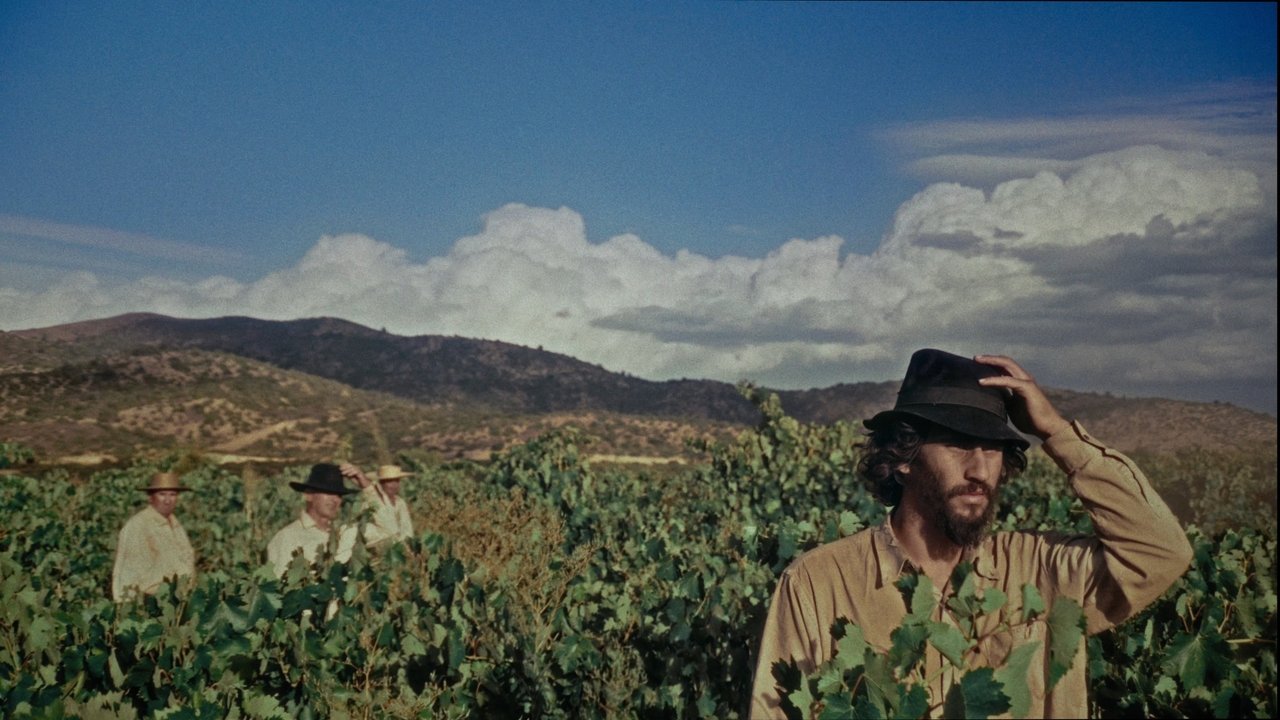 SHORTCUT Movie Screenshot 1