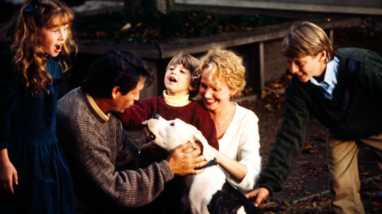 Homeward Bound: The Incredible Journey Movie Screenshot 3