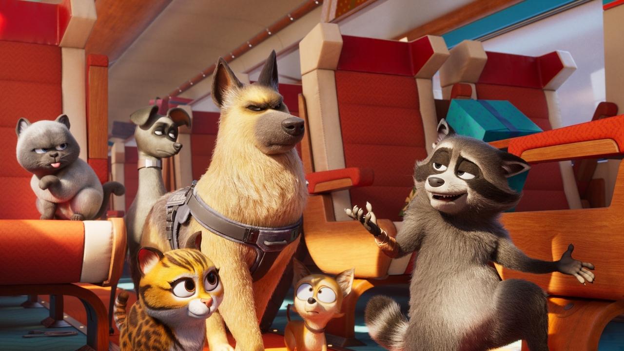 Pets on a Train Movie Screenshot 1
