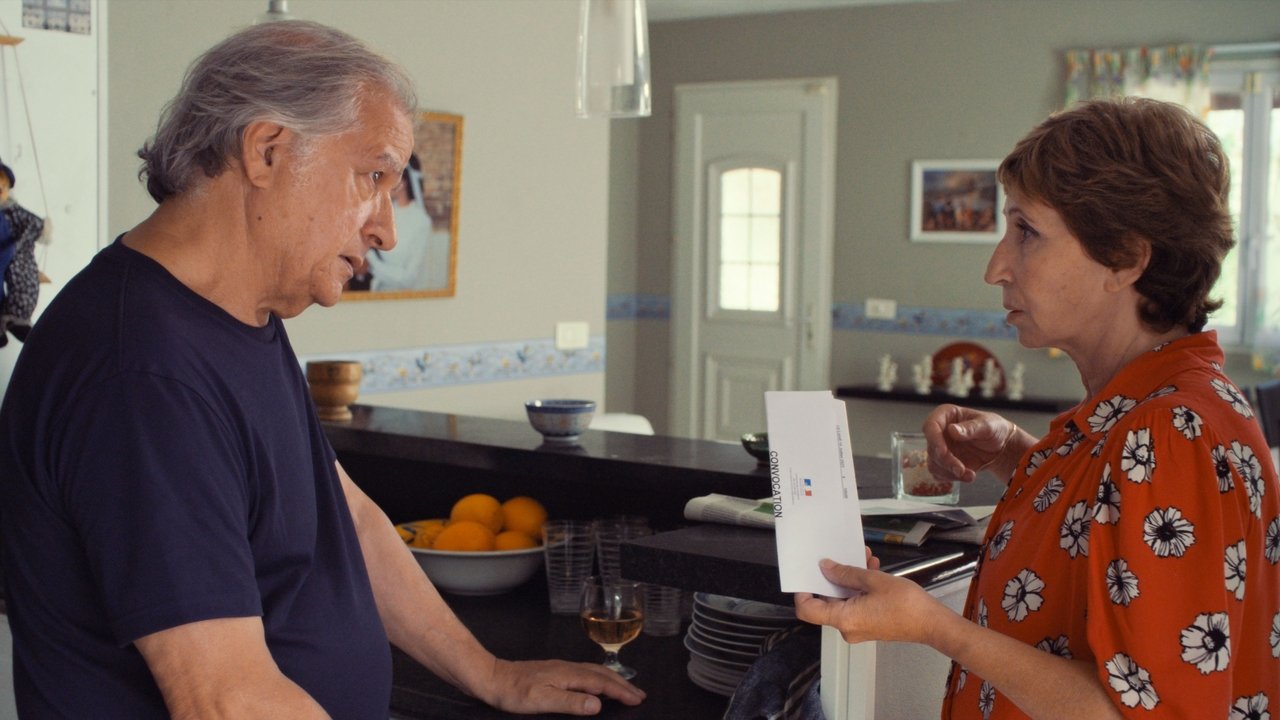 The Thieving Magpie Movie Screenshot 4