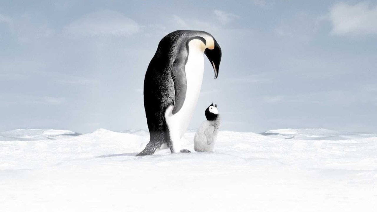 March of the Penguins Movie Screenshot 4