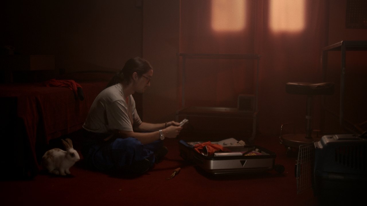 More than you can imagine Movie Screenshot 1