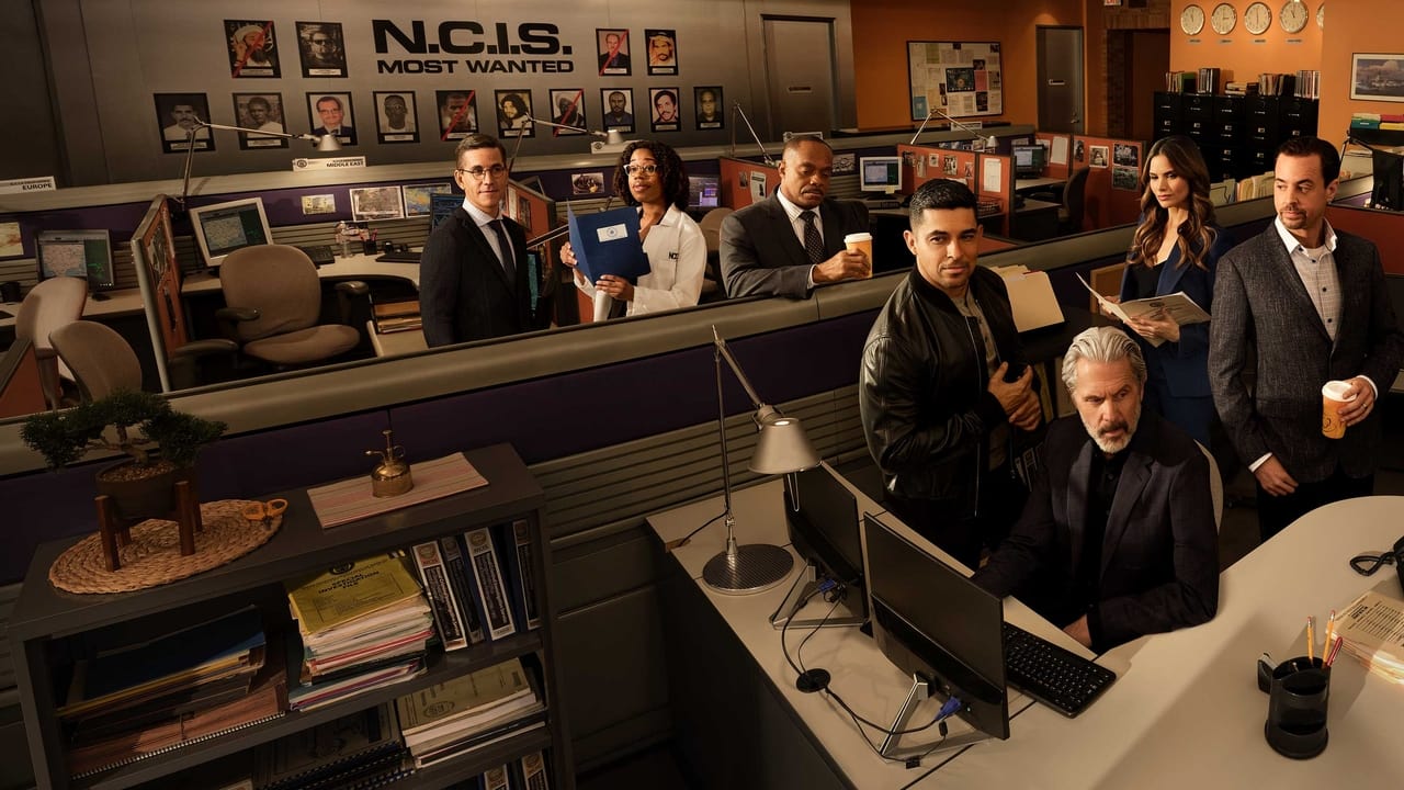 NCIS Series Screenshot 4