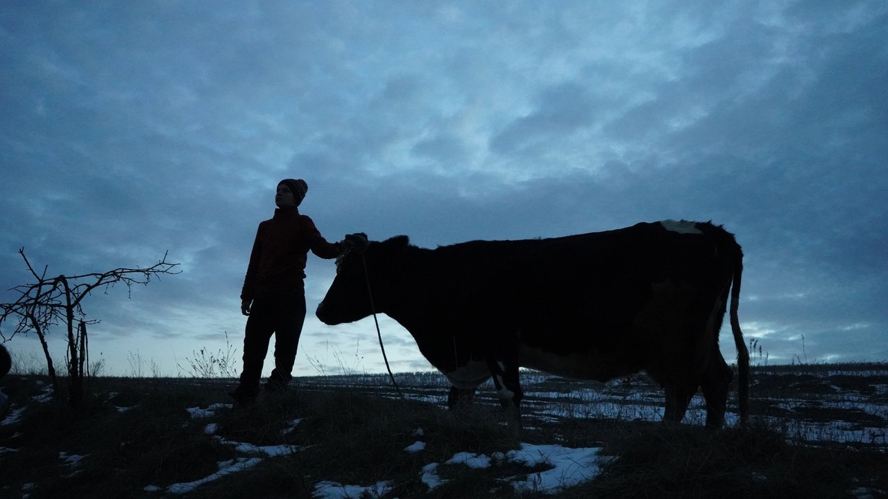 Animals in War Movie Screenshot 1