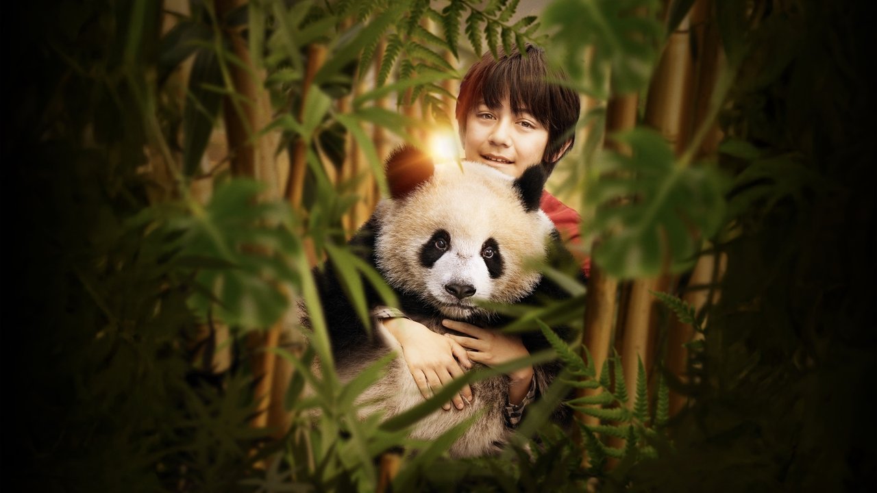 Moon The Panda Movie Screenshot 1