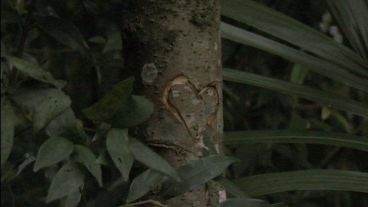 Sofia Was Movie Screenshot 1