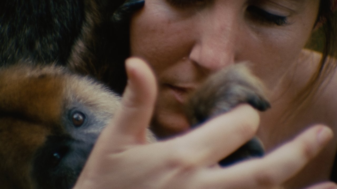 Collective Monologue Movie Screenshot 2