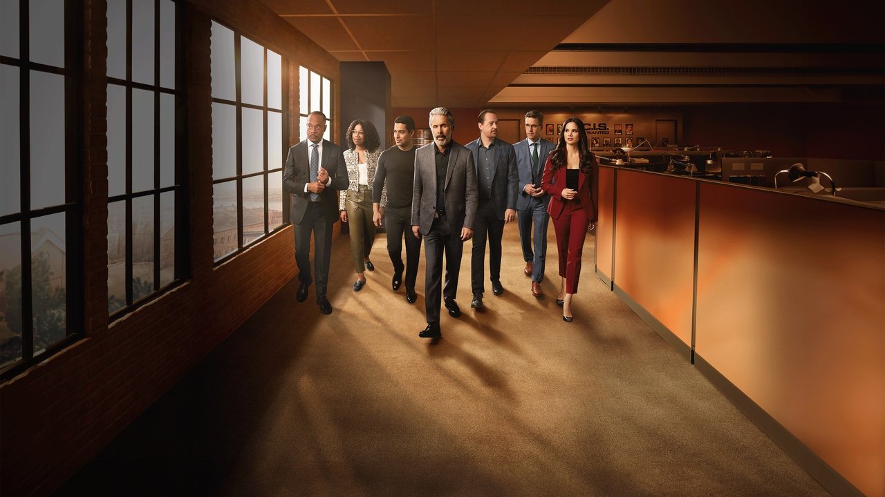 NCIS Series Screenshot 2
