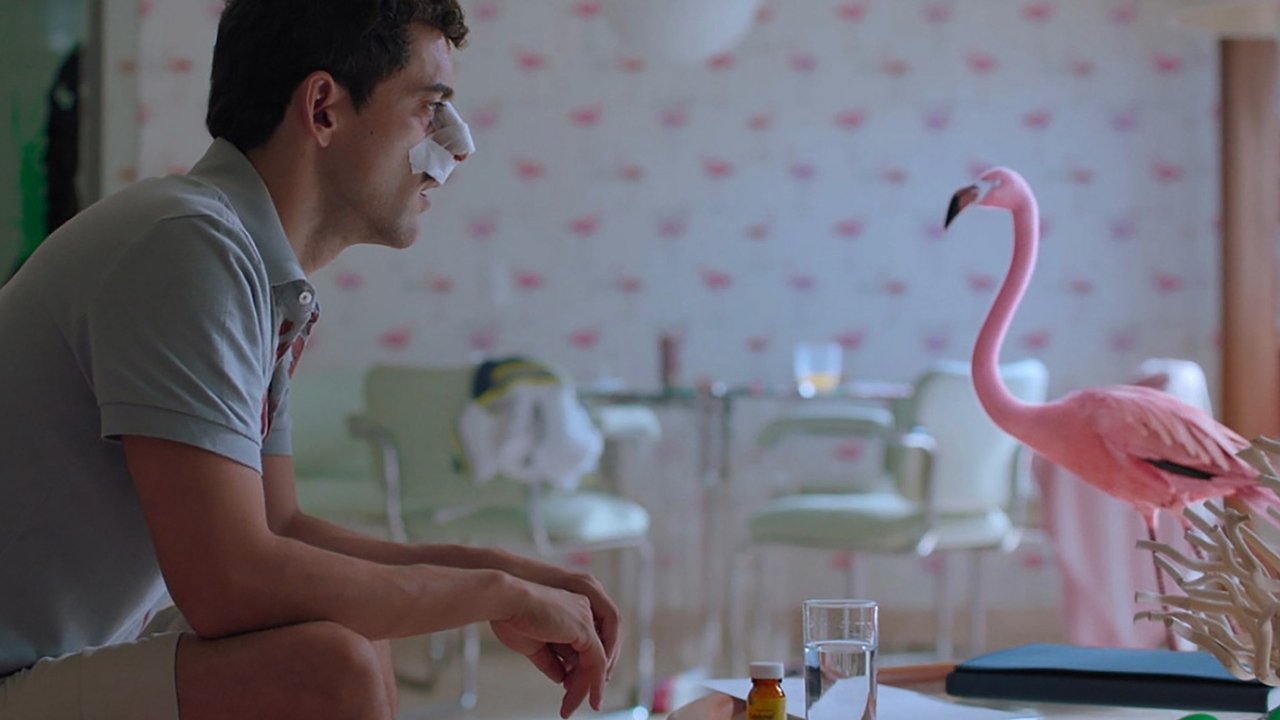 Time Share Movie Screenshot 4
