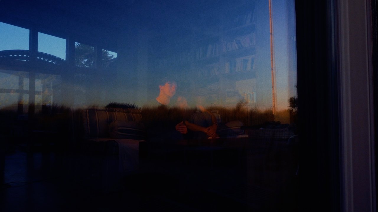 Hillside Cacti Movie Screenshot 3
