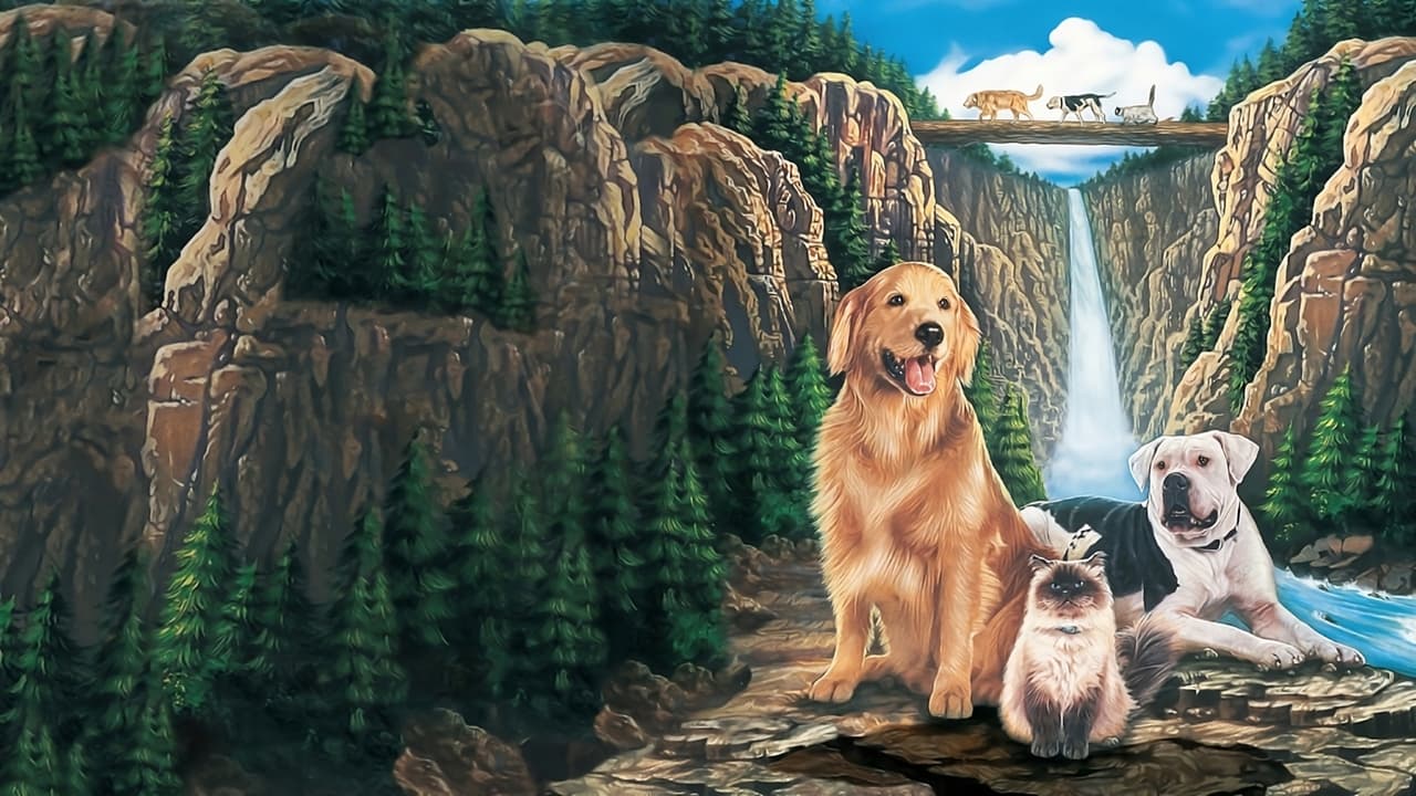Homeward Bound: The Incredible Journey Movie Screenshot 1