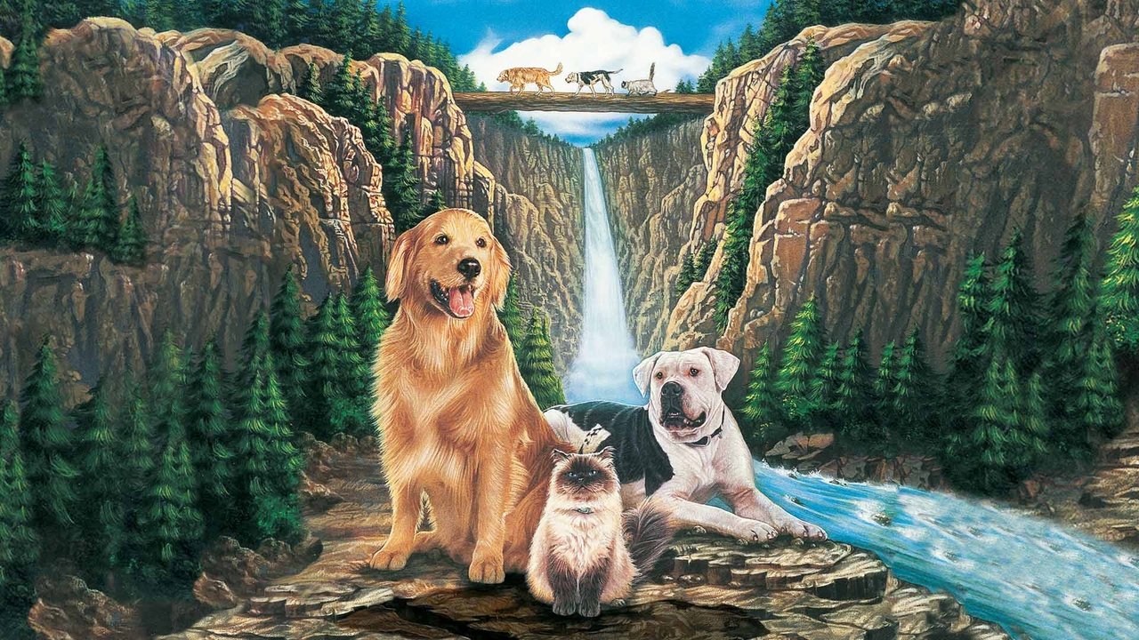 Homeward Bound: The Incredible Journey Movie Screenshot 2